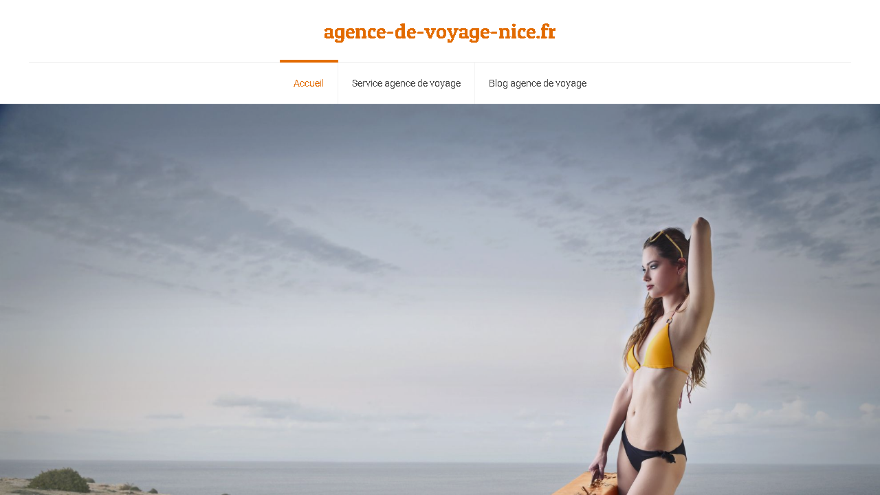 Capture d'écran de https://www.agence-de-voyage-nice.fr/